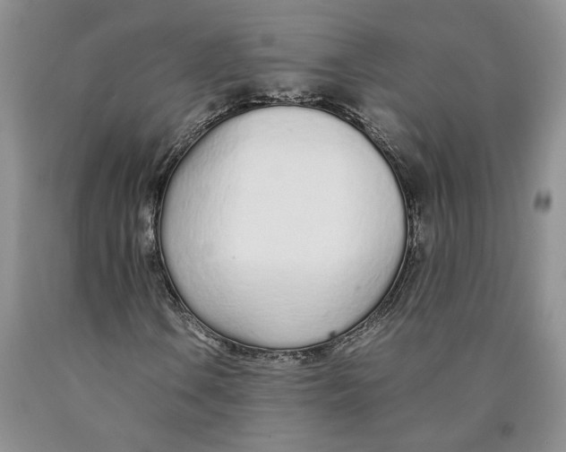 X0000089931106200707271752