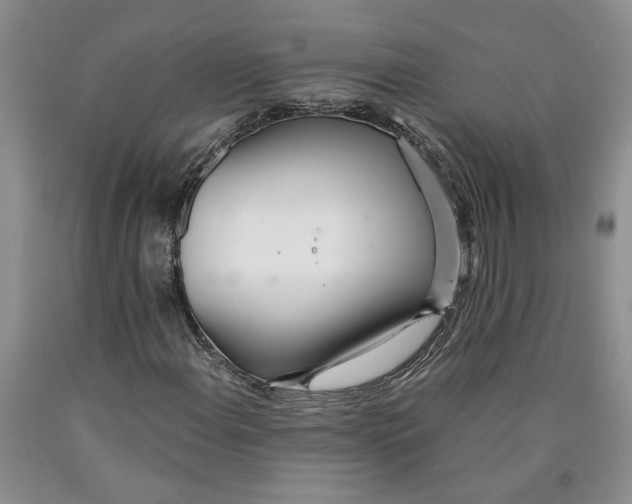 X0000089931108200707271752