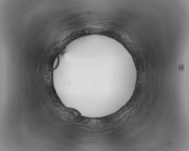 X0000089931109200707271752