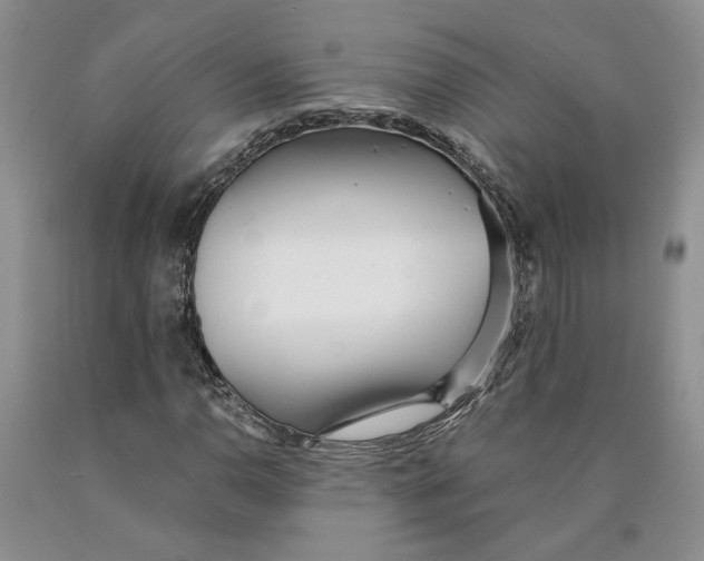 X0000089931110200707271752