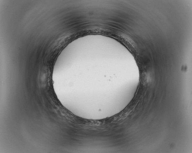 X0000089931111200707271752