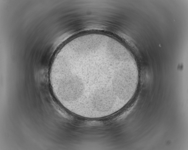 X0000089931113200707271752