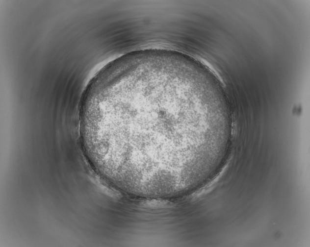 X0000089931117200707271752