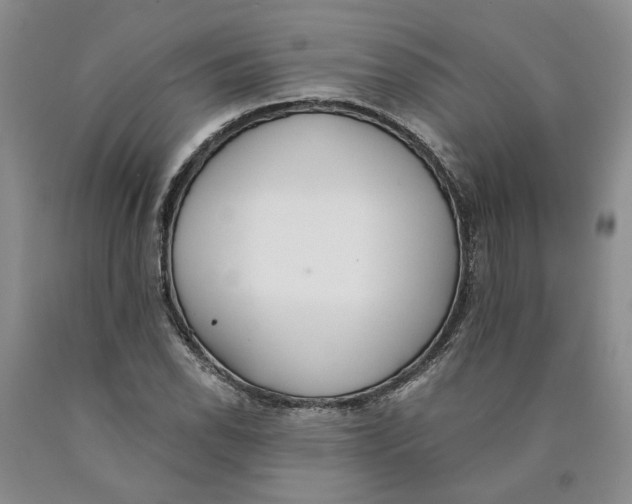 X0000089931118200707271752