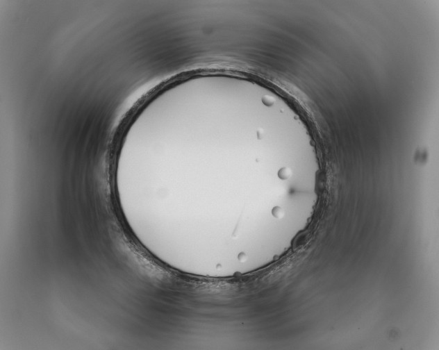 X0000089931120200707271752