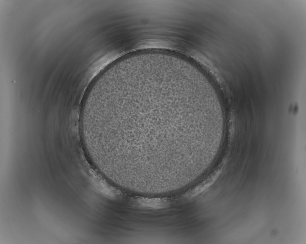 X0000089931121200707271752