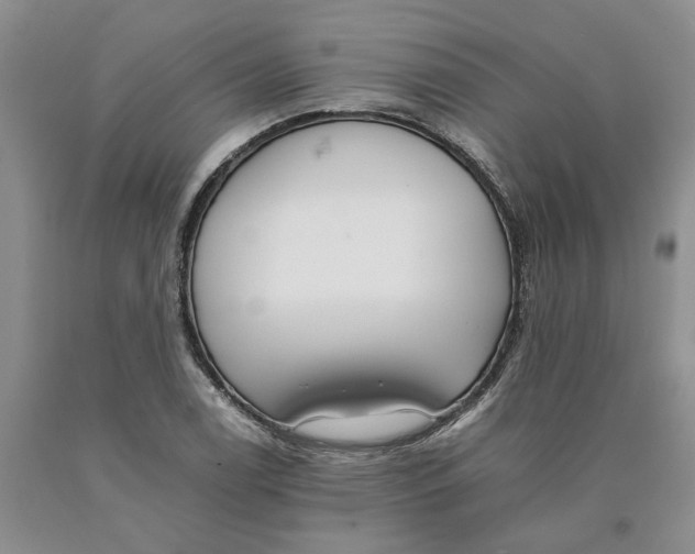 X0000089931122200707271752