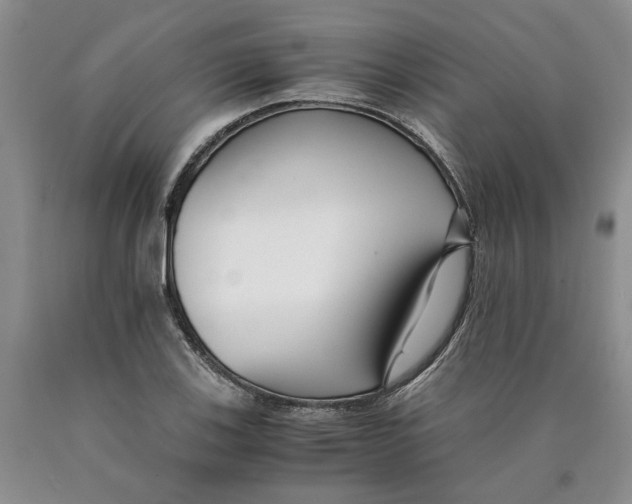 X0000089931123200707271752