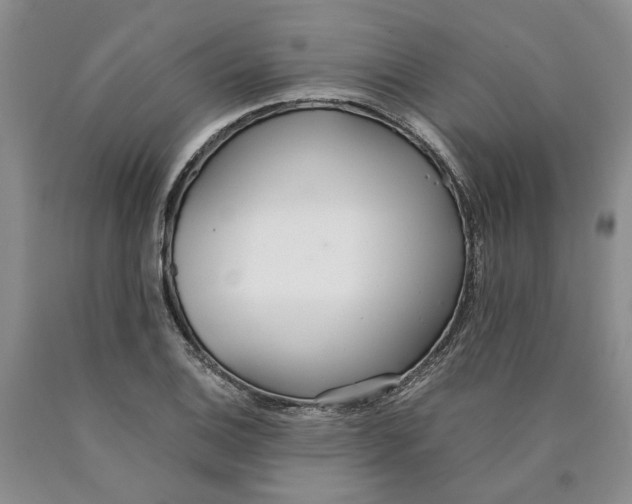 X0000089931124200707271752