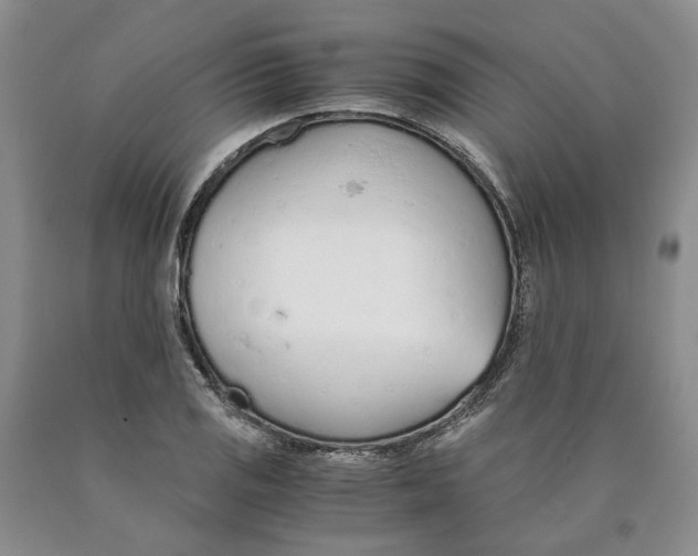 X0000089931125200707271752