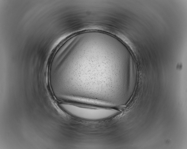 X0000089931127200707271752