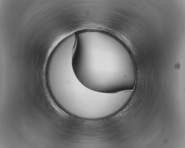 X0000089931128200707271752