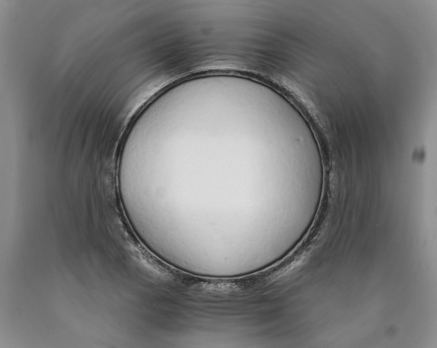 X0000089931129200707271752