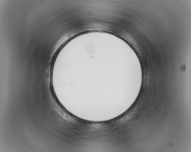 X0000089931130200707271752