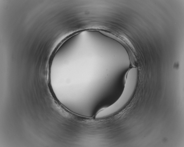 X0000089931132200707271752