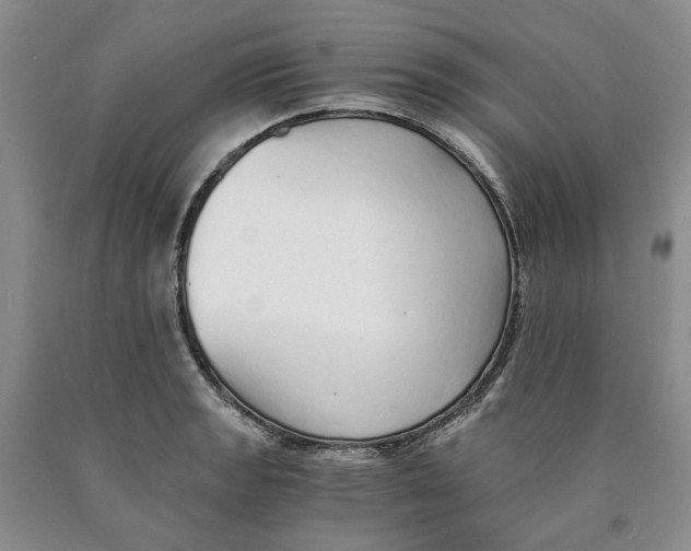 X0000089931133200707271752