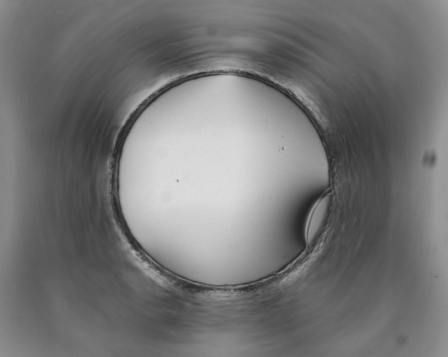 X0000089931134200707271752