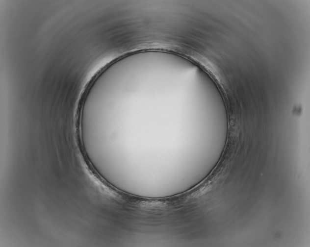 X0000089931135200707271752