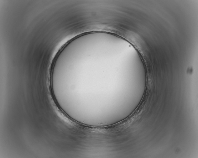 X0000089931136200707271752