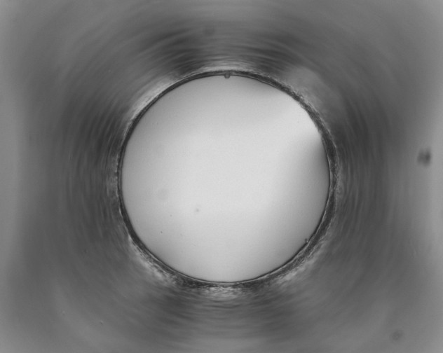 X0000089931137200707271752