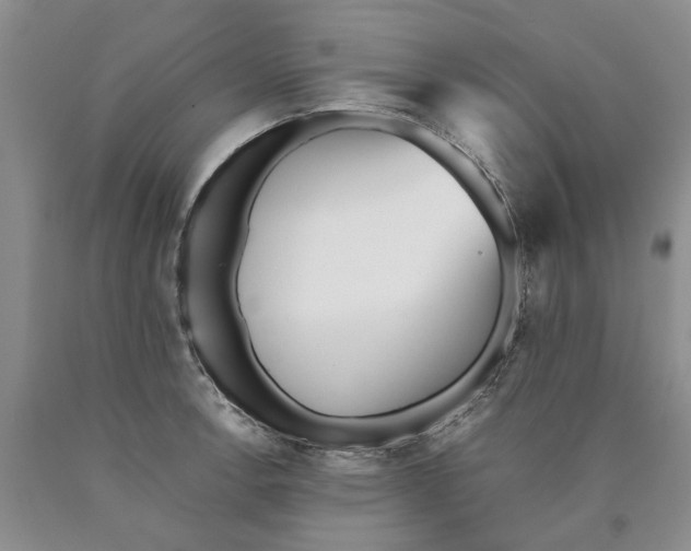 X0000089931138200707271752