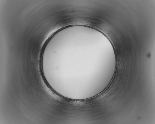 X0000089931139200707271752