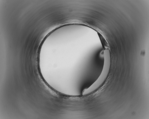 X0000089931142200707271752