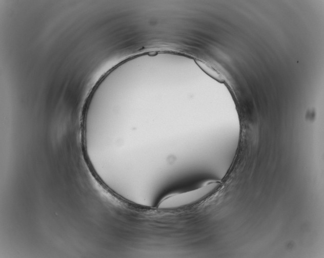 X0000089931143200707271752