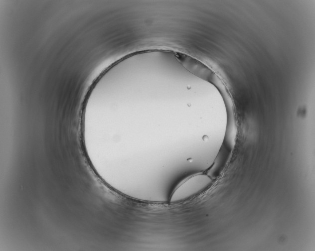 X0000089931144200707271752