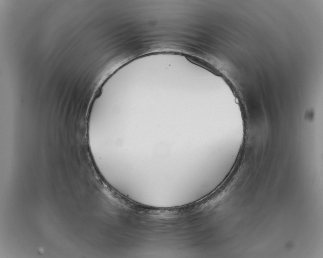 X0000089931145200707271752