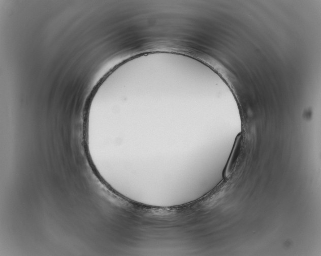 X0000089931147200707271752