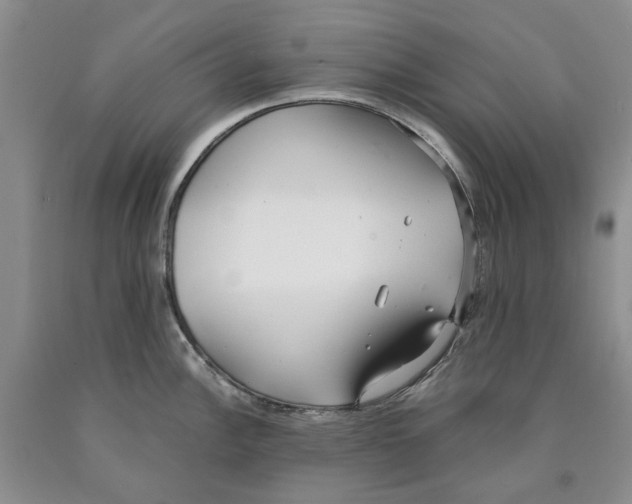 X0000089931148200707271752