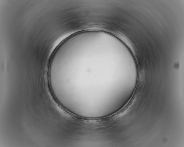 X0000089931149200707271752