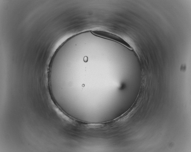 X0000089931151200707271752