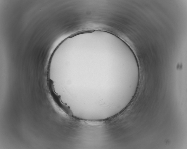 X0000089931152200707271752