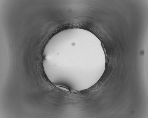 X0000089931153200707271752