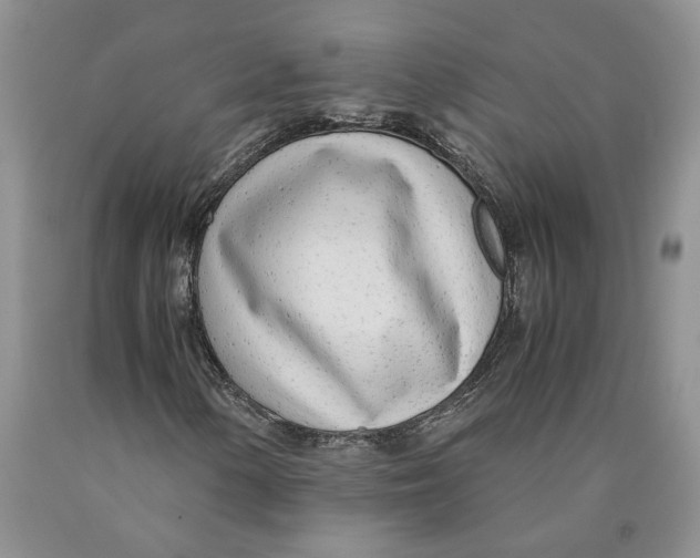 X0000089931154200707271752