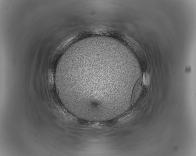 X0000089931155200707271752