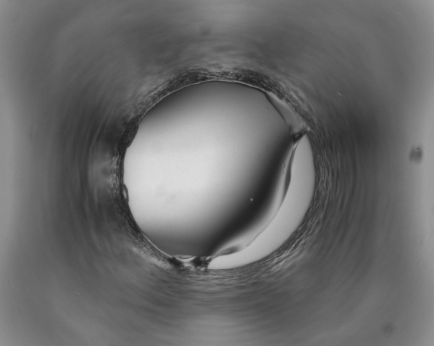 X0000089931156200707271752