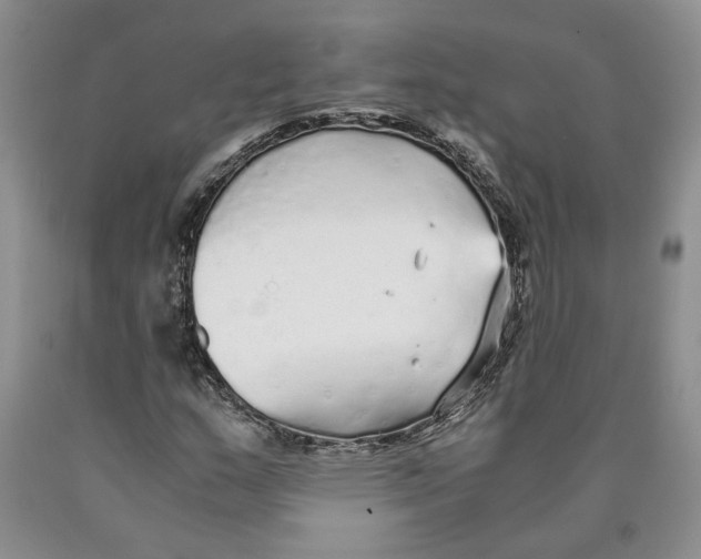 X0000089931159200707271752