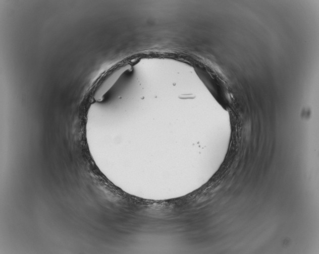 X0000089931160200707271751