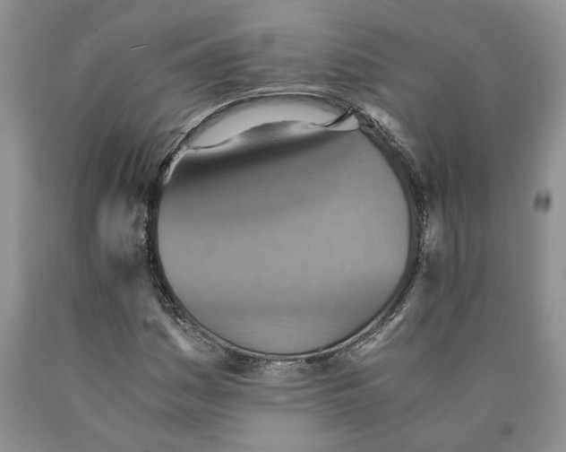 X0000089931161200707271751