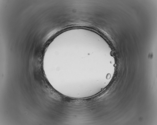 X0000089931163200707271751