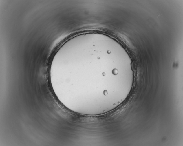 X0000089931164200707271751