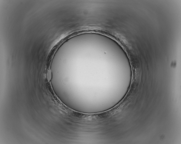 X0000089931165200707271751