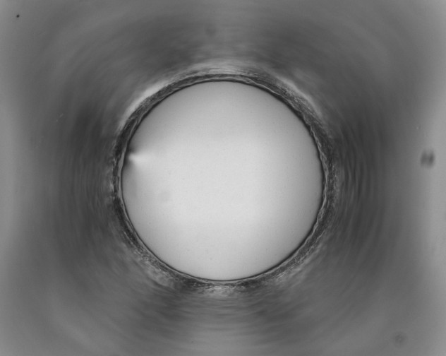 X0000089931166200707271751