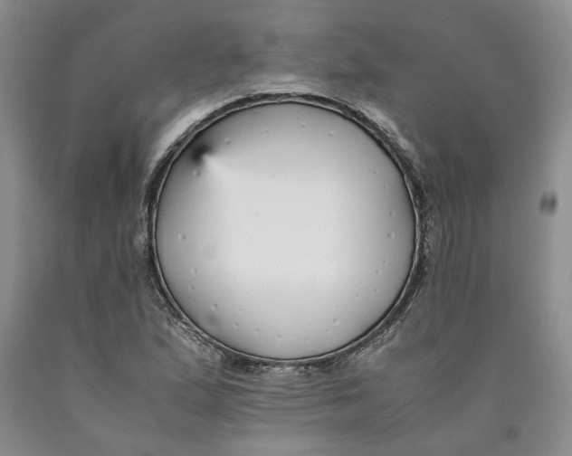 X0000089931167200707271751