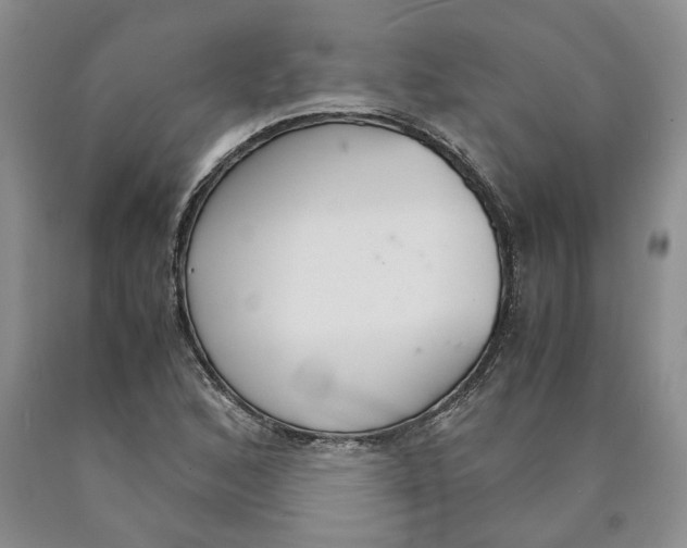 X0000089931168200707271751