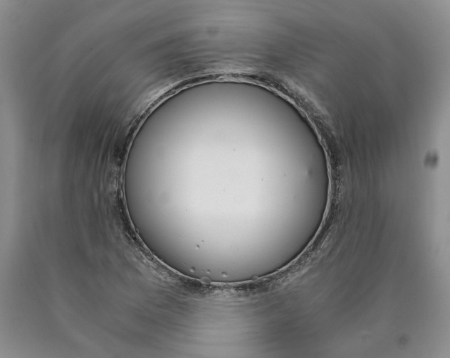 X0000089931169200707271751