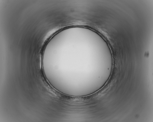 X0000089931171200707271751